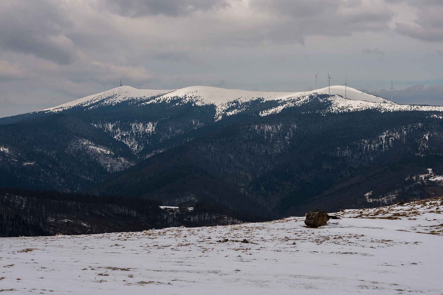 Munții Bihor