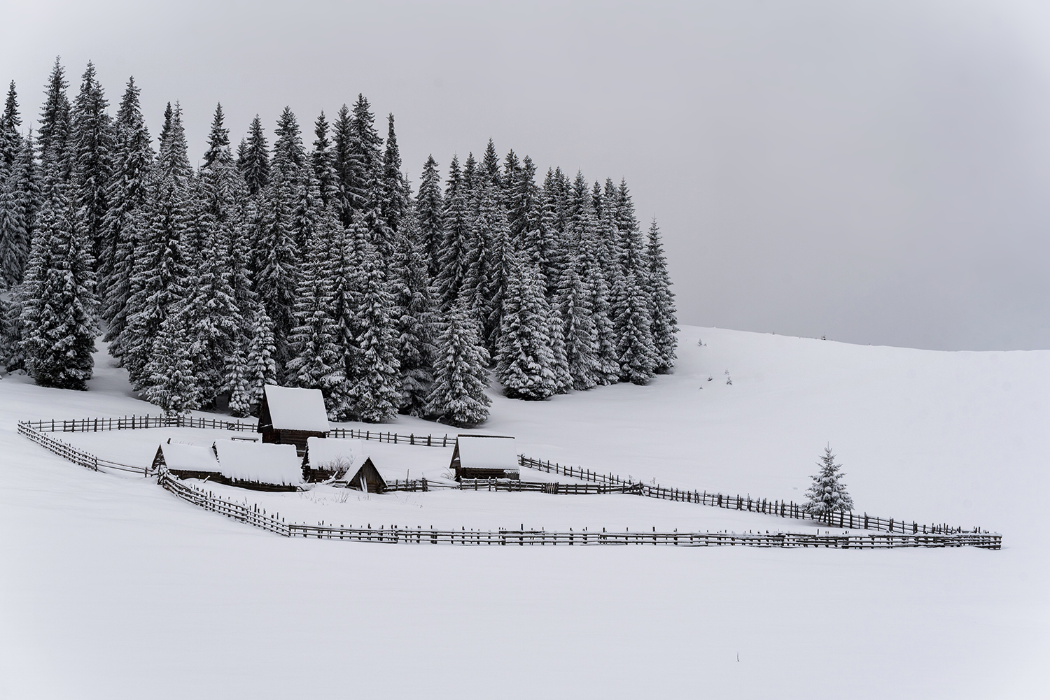 Munții Bihor