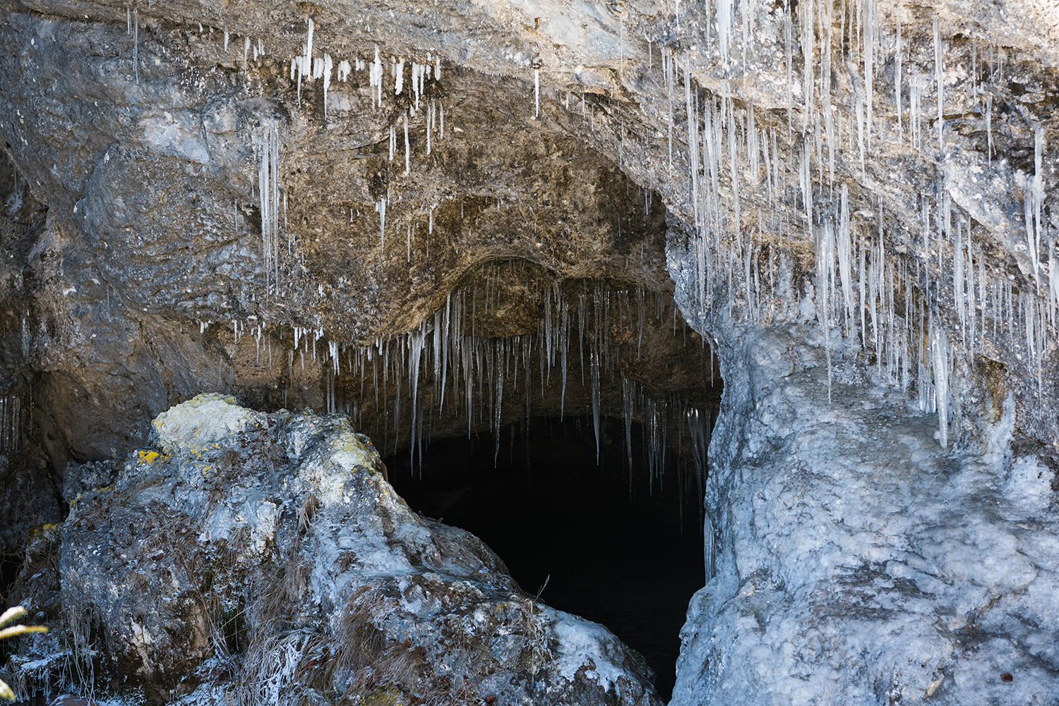 Munții Bihor