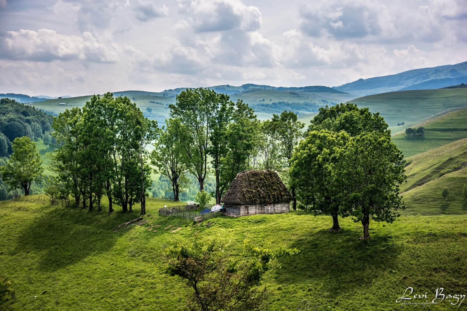  Dumești -Levi Bagy Photography