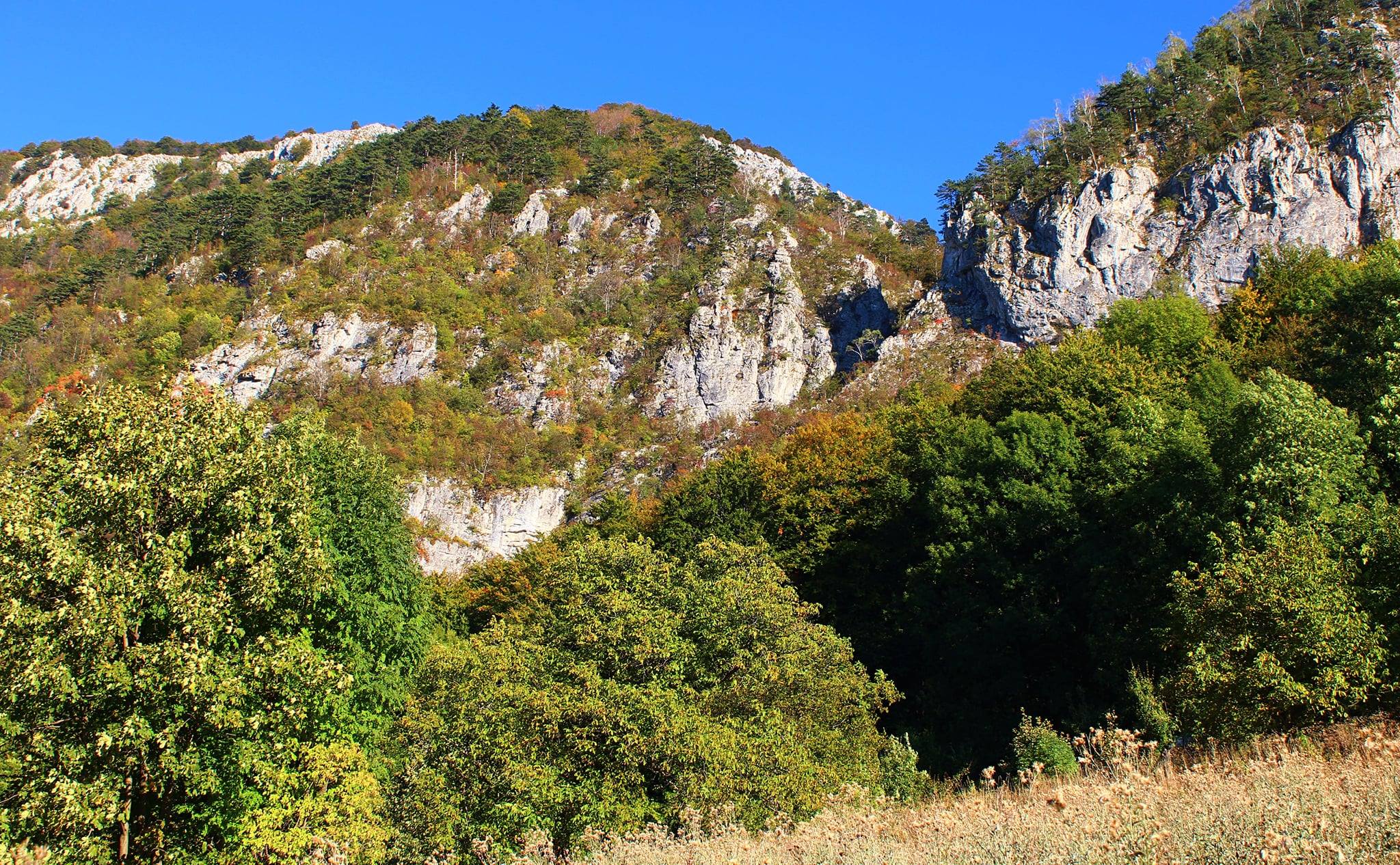  Foeroaga, Cheile Tâmnei - Sima Constantin