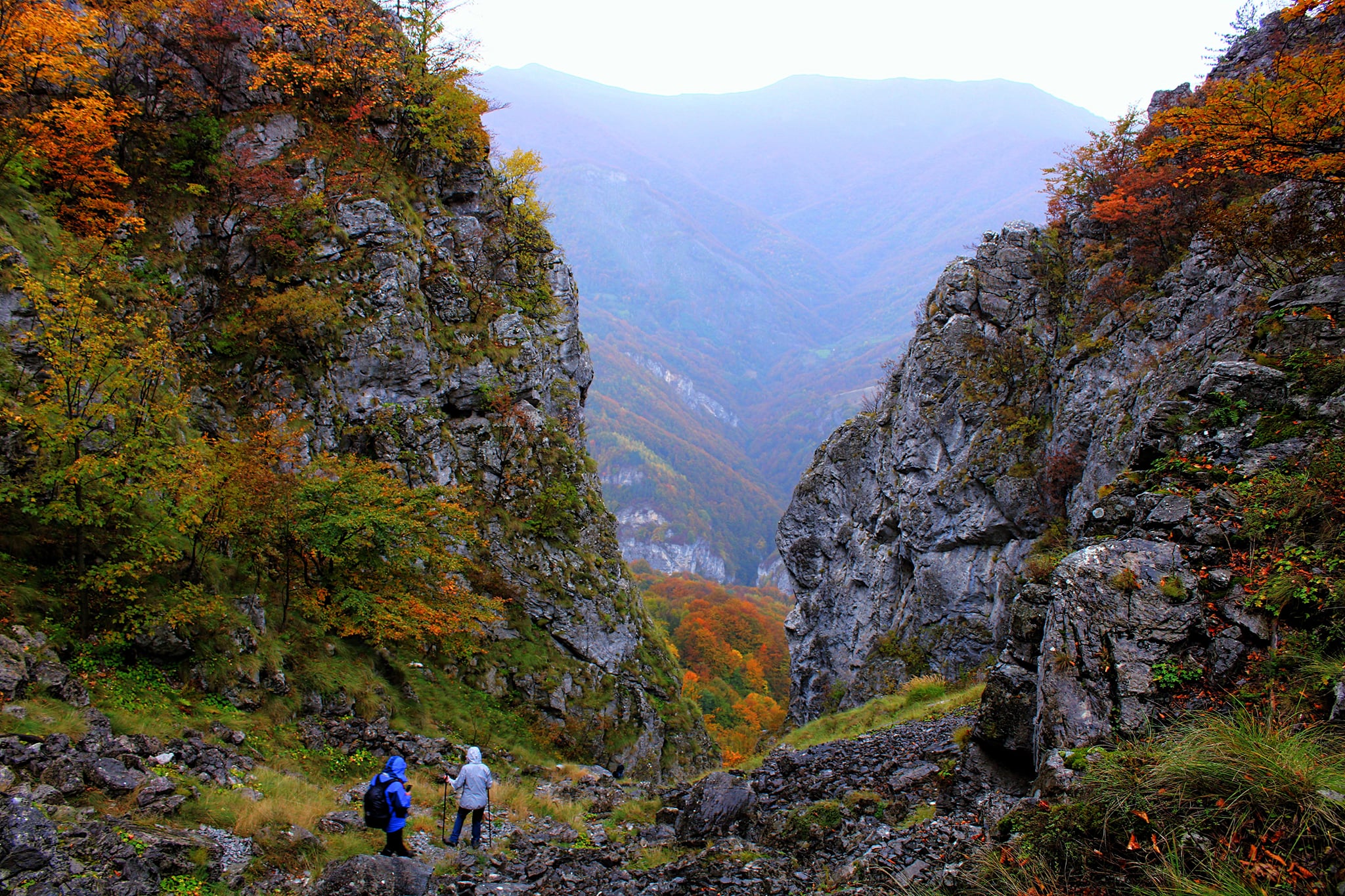  Foeroaga Tâmnei - Sima Constantin