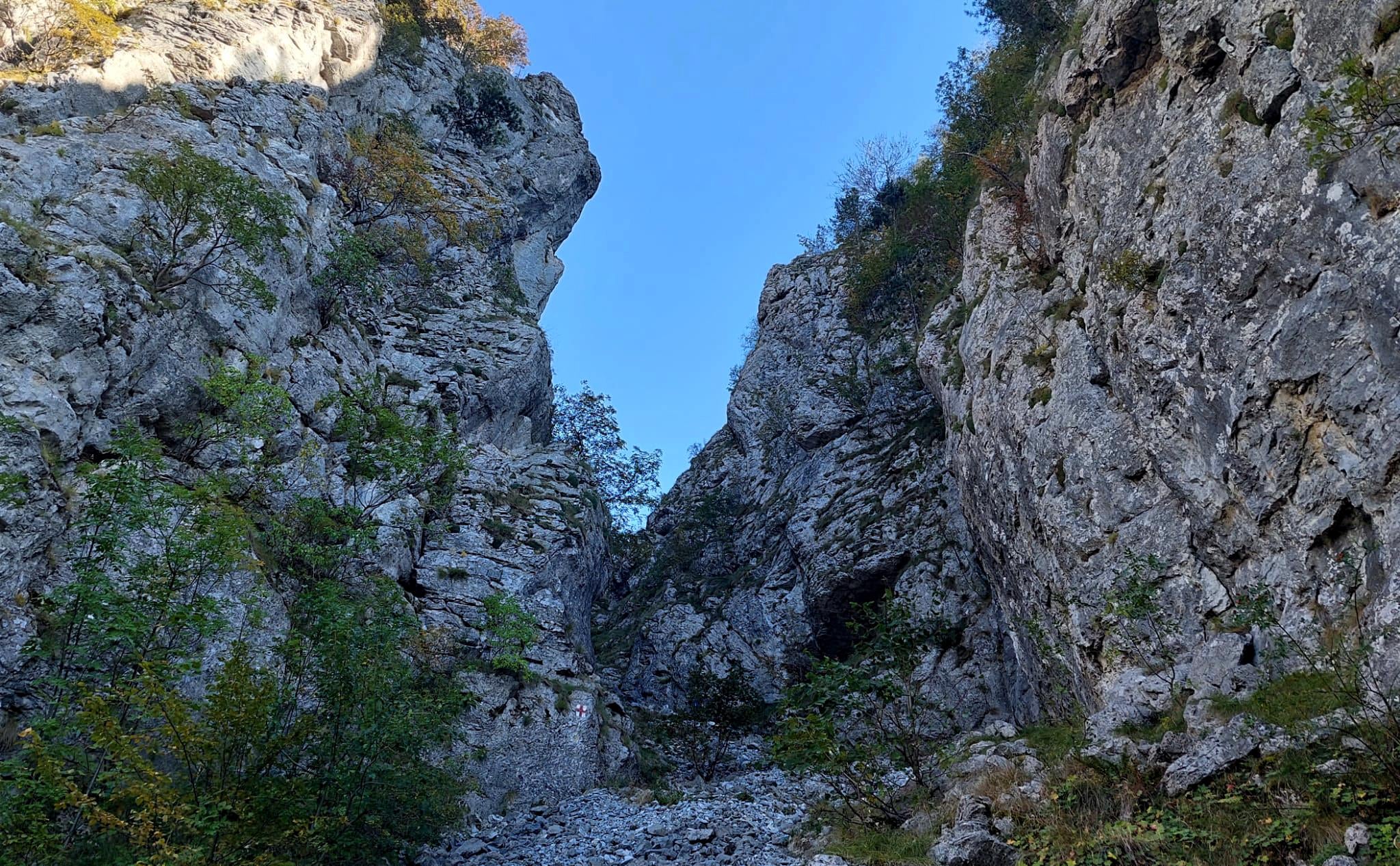  Foeroaga Tâmnei - Sima Constantin