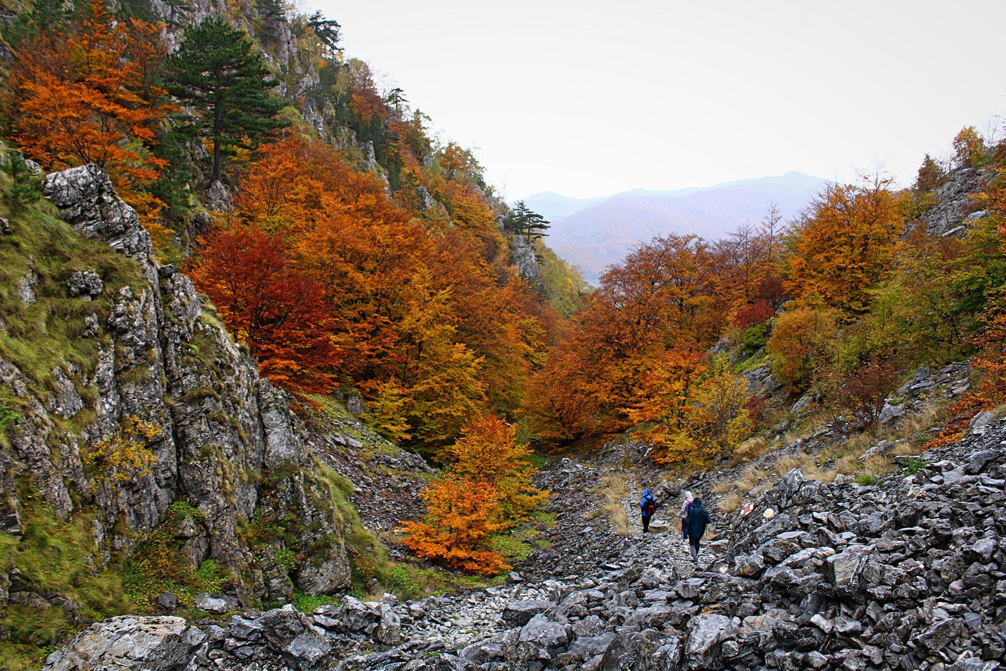  Foeroaga Tâmnei, dinspre Crovu Mare - Sima Constantin