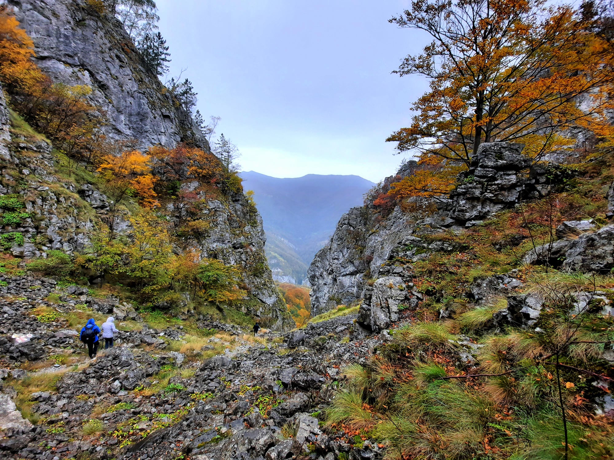  Foeroaga Tâmnei, la coborâre - Sima Constantin