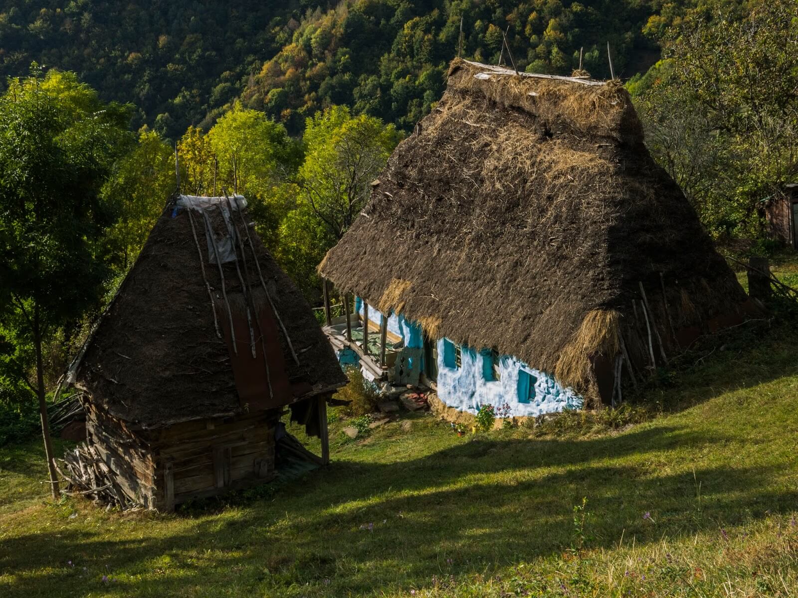  Gospodarii traditionale - Marian Poara