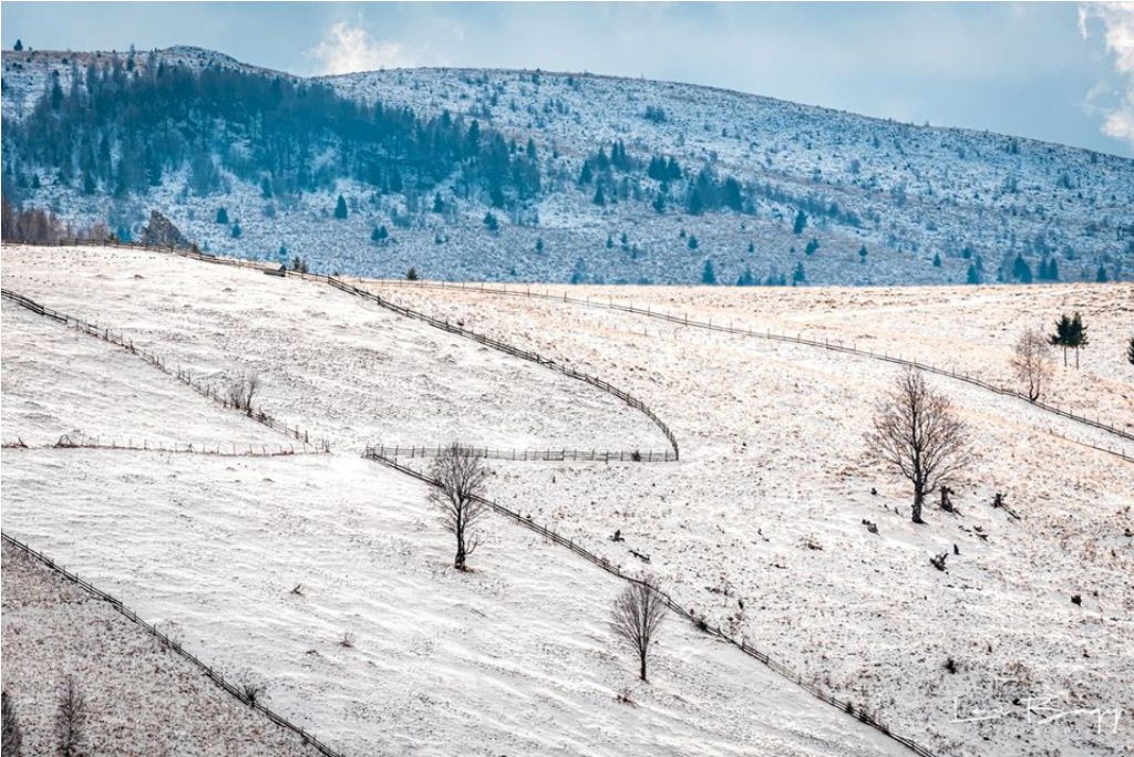  inceput de iarna - Levi Bagy Photography