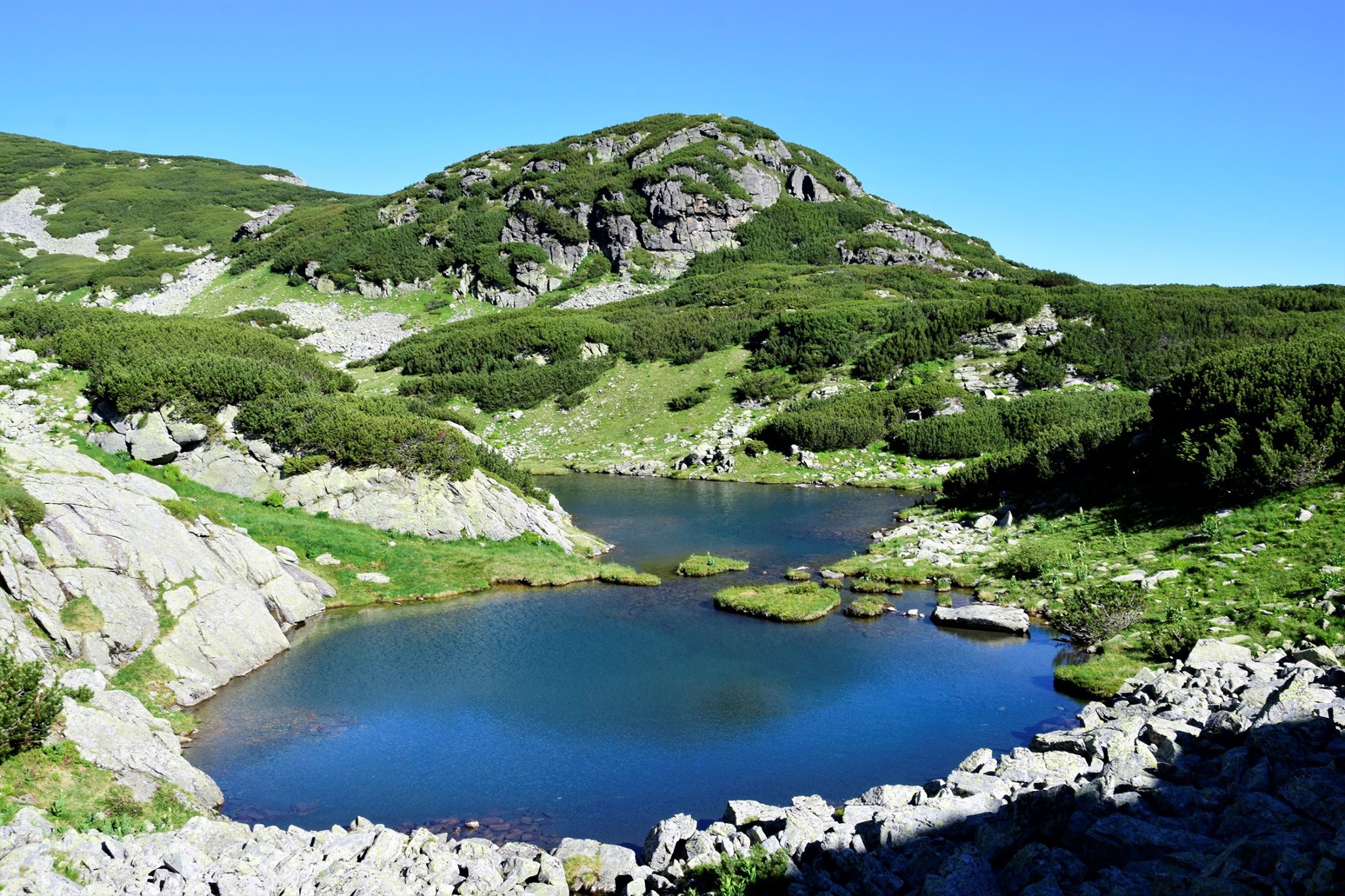  Lacul Păsări - Radu Munteanu