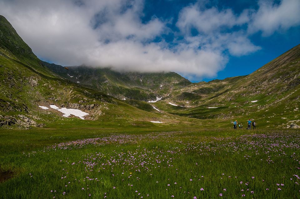 Galeata Văii Rele -  Morar Daniel