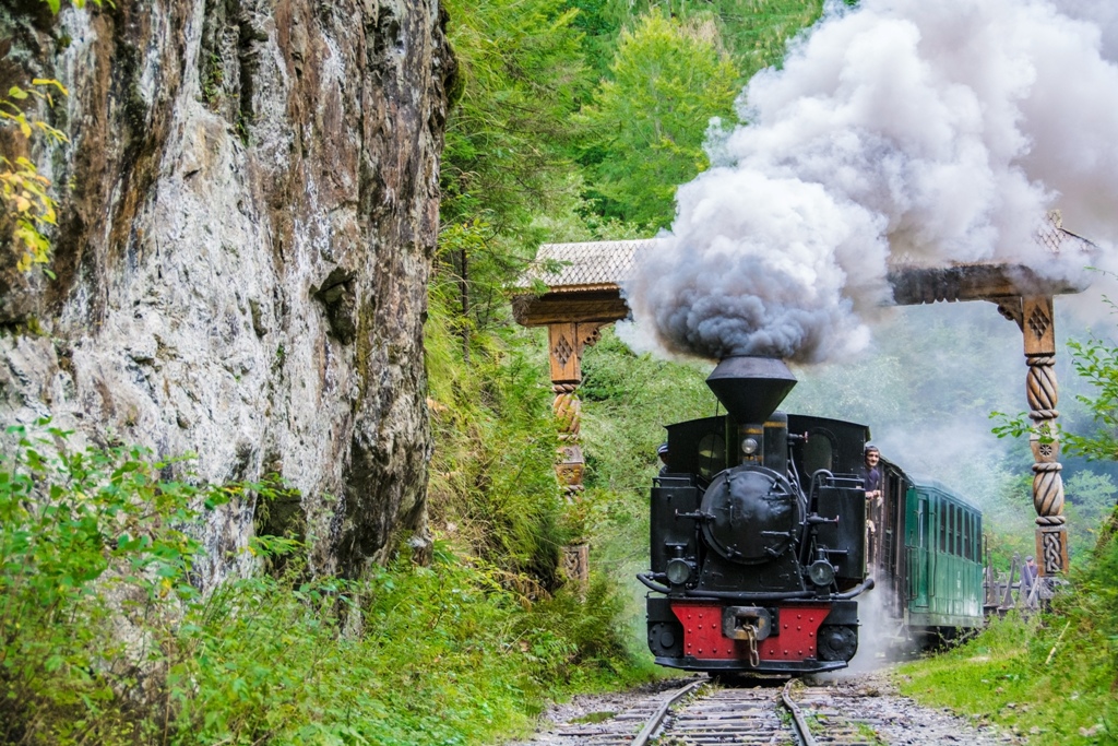  Mocanita - Valea Vaserului - pe sub poarta maramureșeană