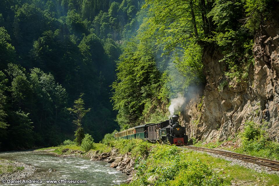  Mocanita - Valea Vaserului - trinul cu aburi