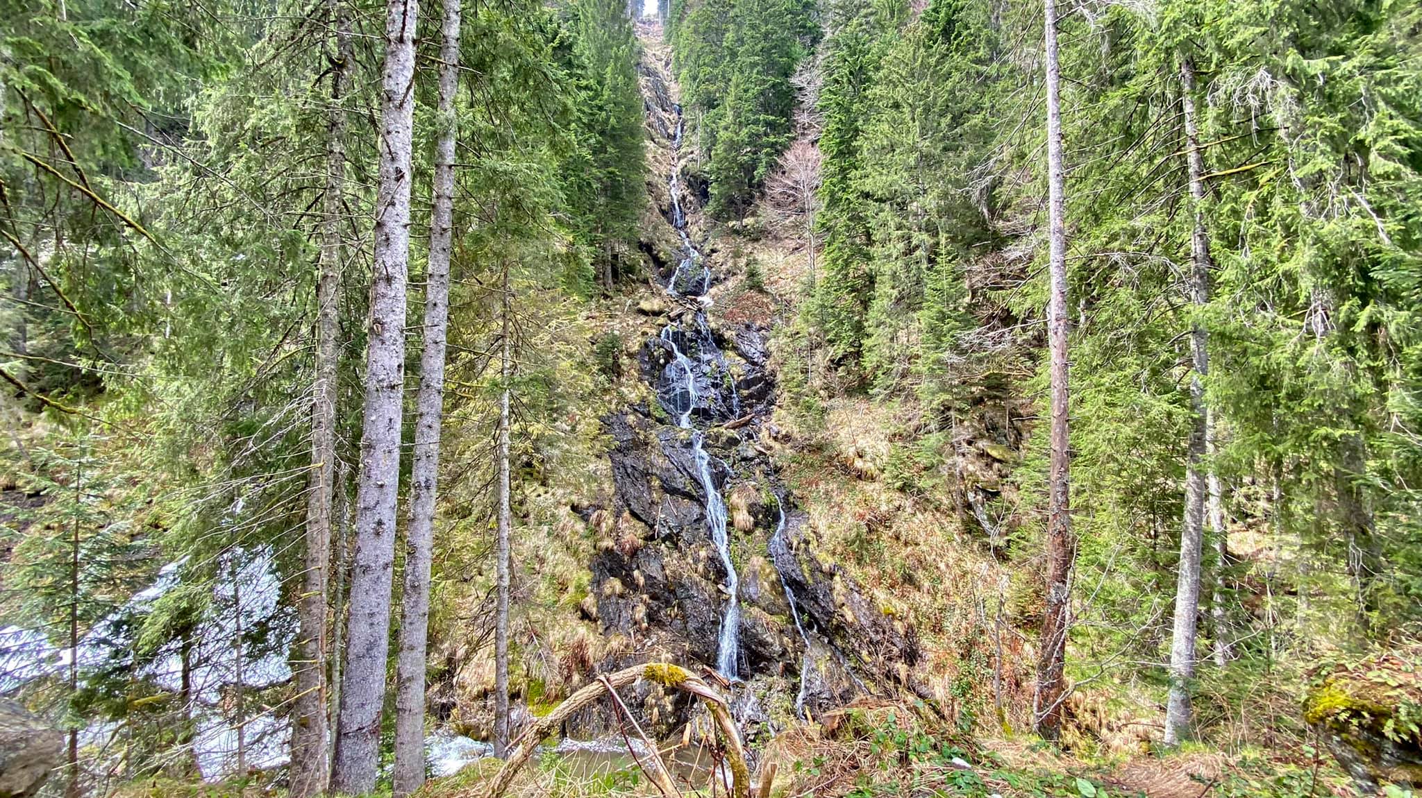  O cascada care cade in Valea Sambetei - Marius Popa