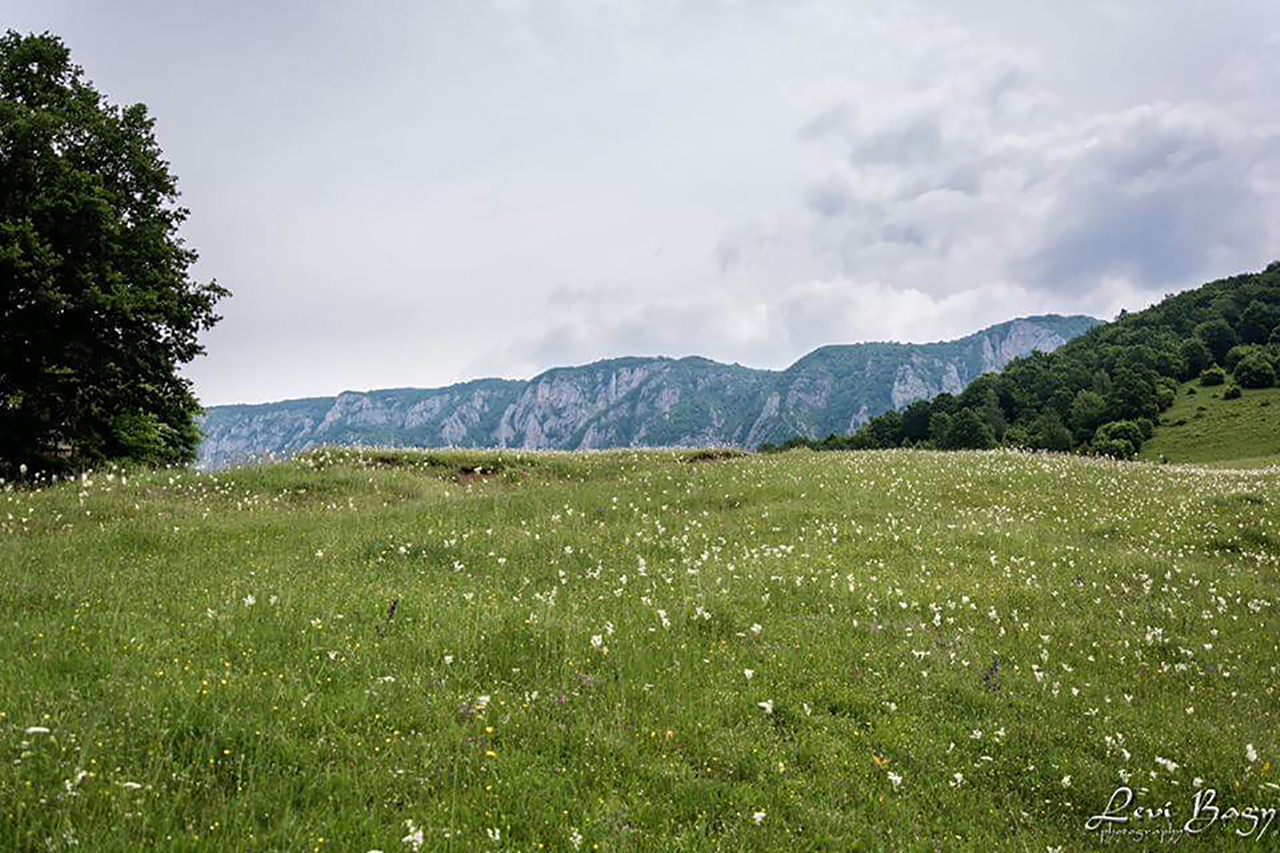  Deasupra satului Salciua spre Bedeleu - Levi Bagy Photography