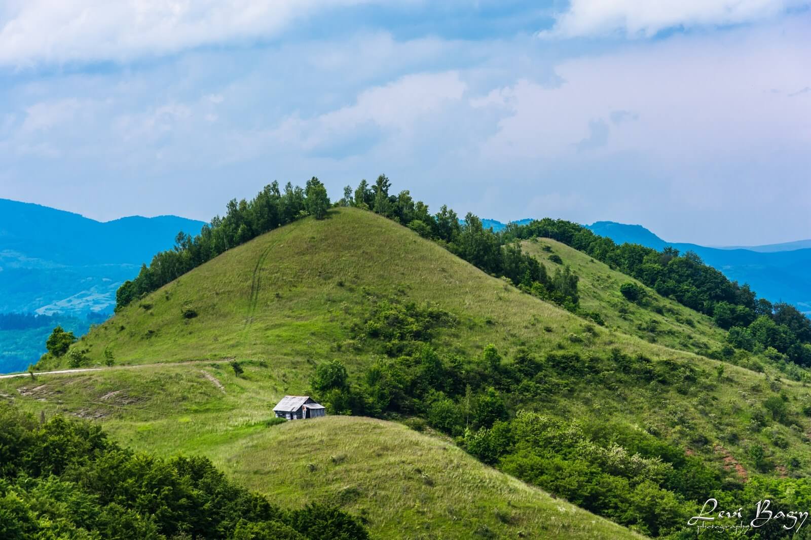   Dumești -Levi Bagy Photography