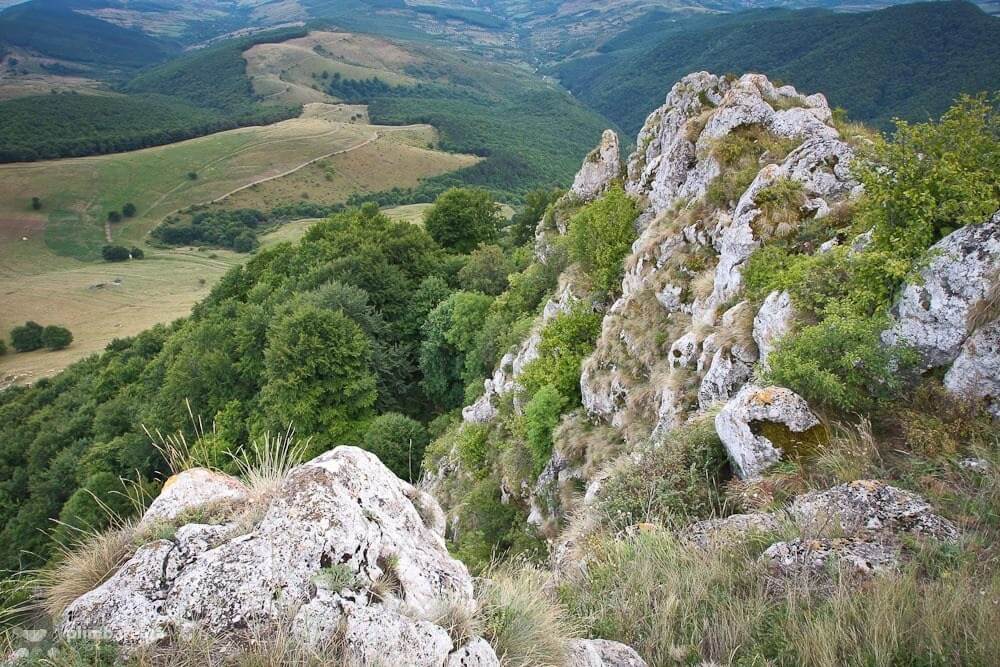  Pe Piatra Craivii - Cârtița Plimbăreață