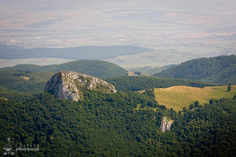  Piatra Bulzului și Alba Iulia, văzute de pe Piatra Cetii - Cârtița Plimbăreață