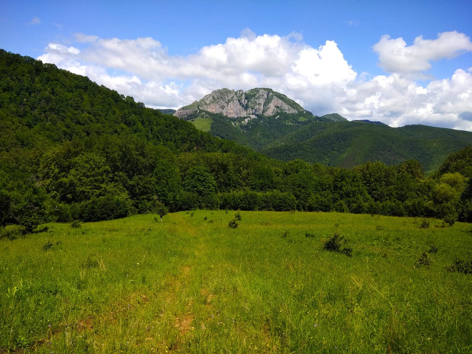  Piatra Cetii din prima poiana - Manu Muntomanu