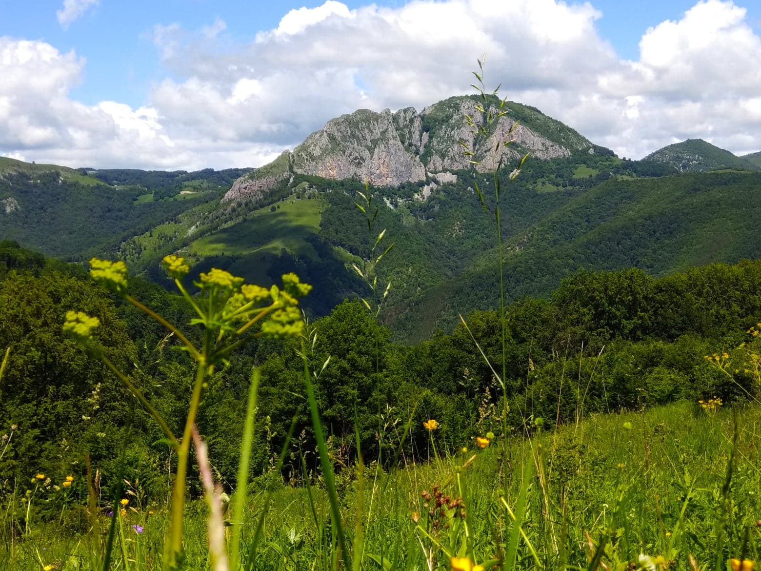  Piatra Cetii dintre flori - Manu Muntomanu