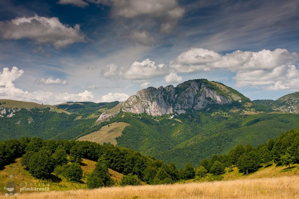  Piatra Cetii, văzută de pe Piatra Bulzului - Cartita Plimbareata