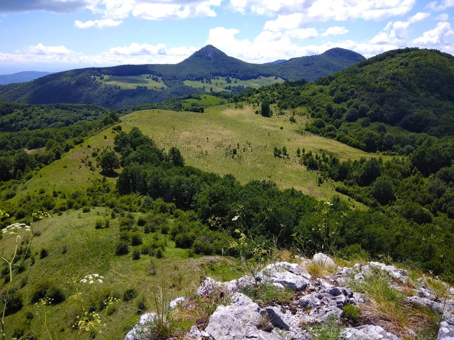  Piatra Craivii de pe Piatra Bulzului - Manu Muntomanu