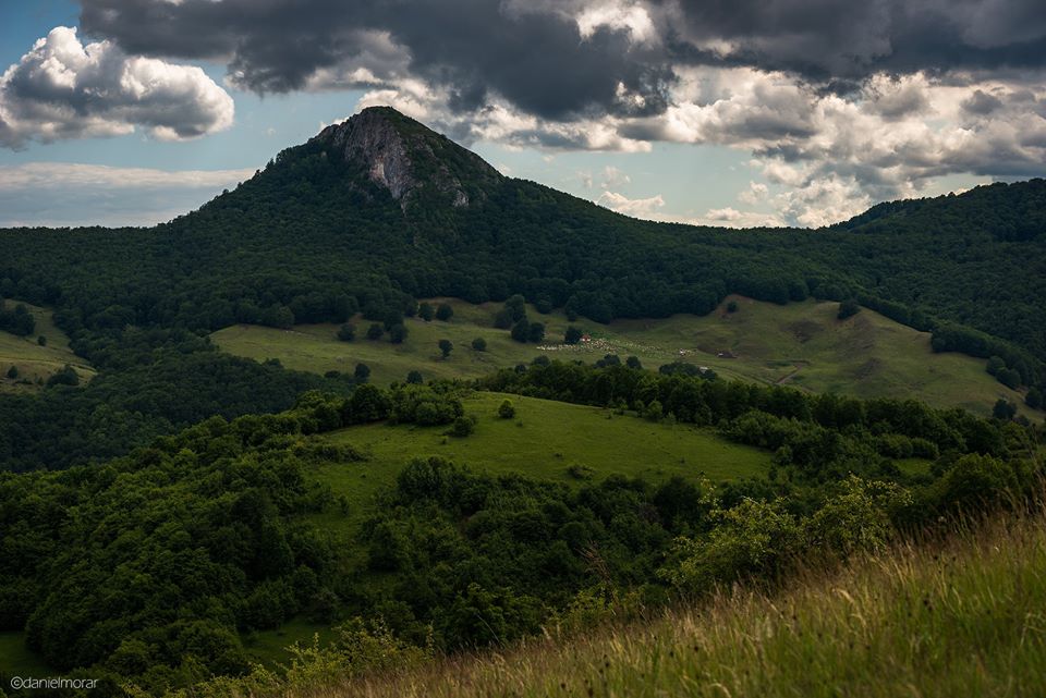  Piatra Craivii de sub Piatra Bulzului -  Morar Daniel