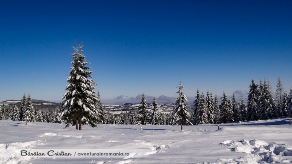  Platou Muntele Mare - Aventura in Romania