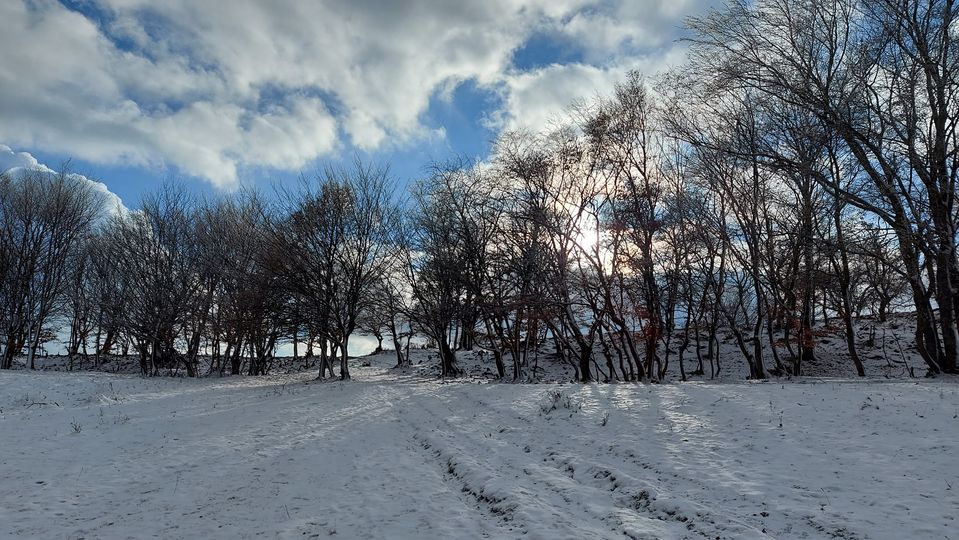  Poarta dintre iarna si toamna - Manu Muntomanu