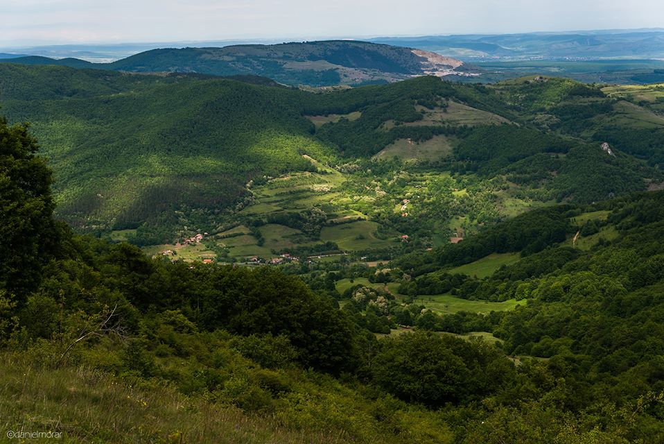  Poiana Galdei de sub Piatra Bulzului -  Morar Daniel