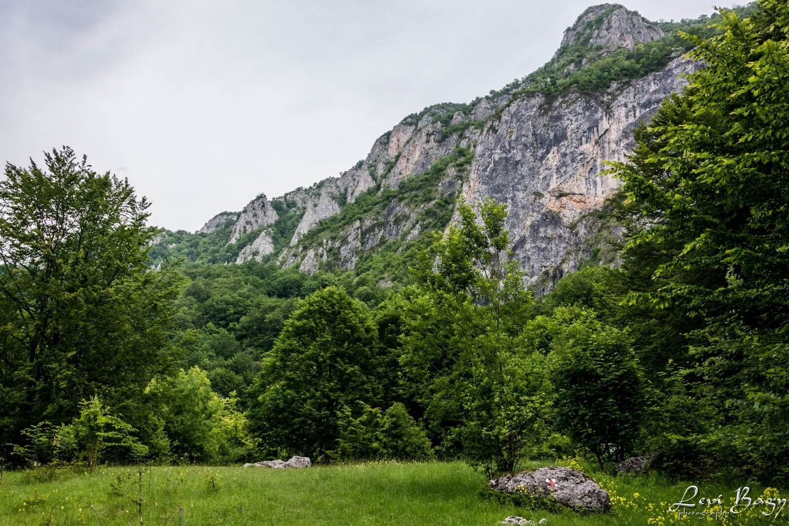 Poiana Șipote - Levi Bagy Photography