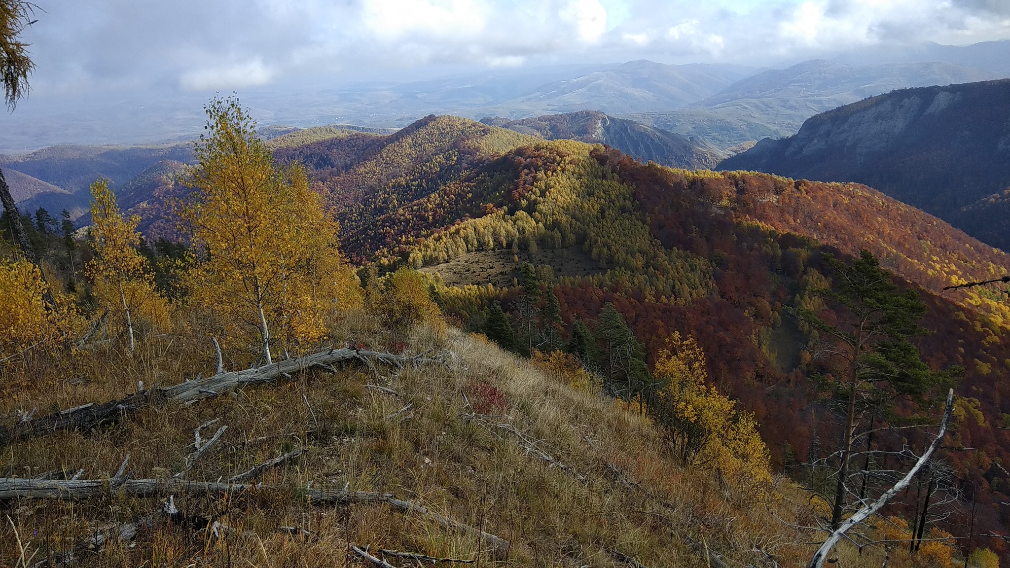  Promontoriu cu vederi largi - Manu Munțomanu