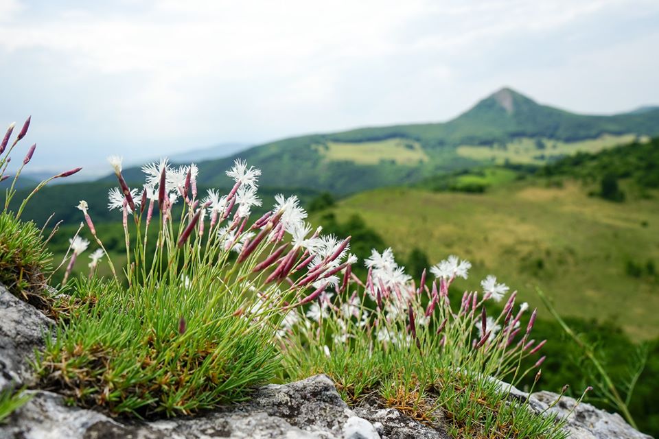  Scai si Piatra Craivii - Cosmin Buzoianu