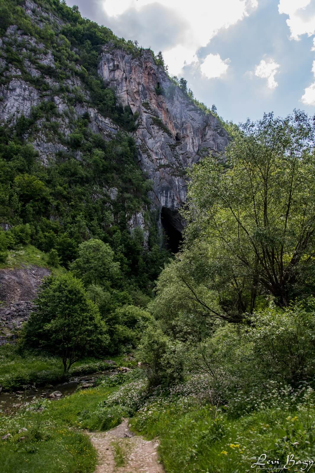  Huda lui Papară - Levi Bagy Photography