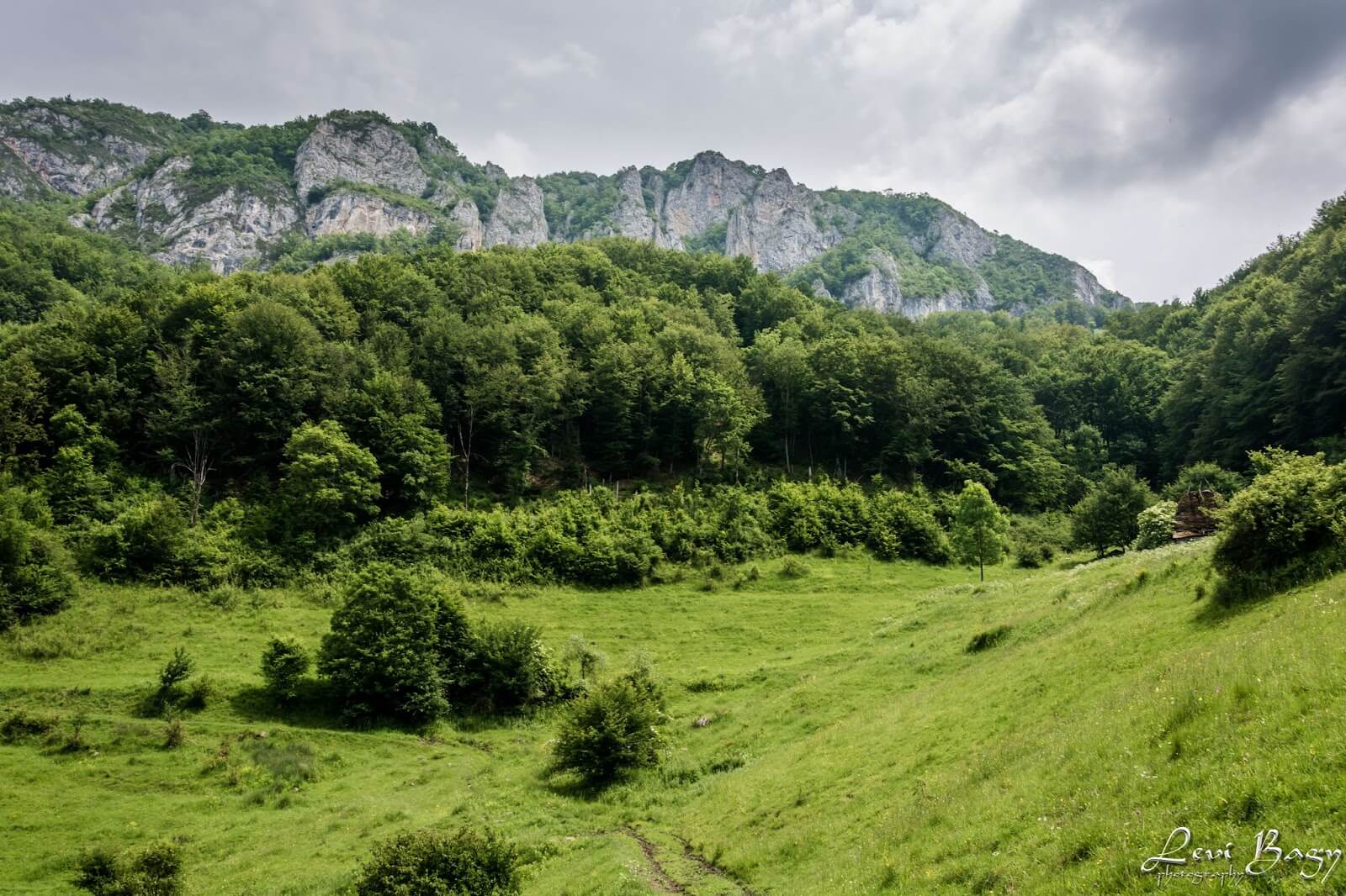  Spre Poiana Sipote - Levi Bagy Photography