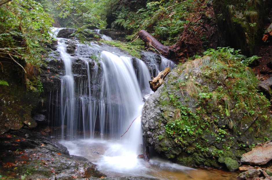 24_Sub Cascada Saritoare Iedutului.JPG