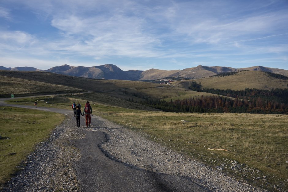 _12MN_Intre Varful Cerbul si Transalpina_14.jpg