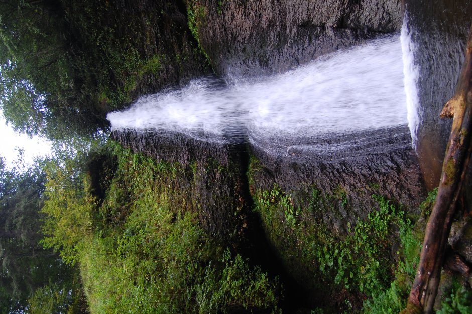 _13MN_img_24 Cascada Saritoarea Iedutului.jpg