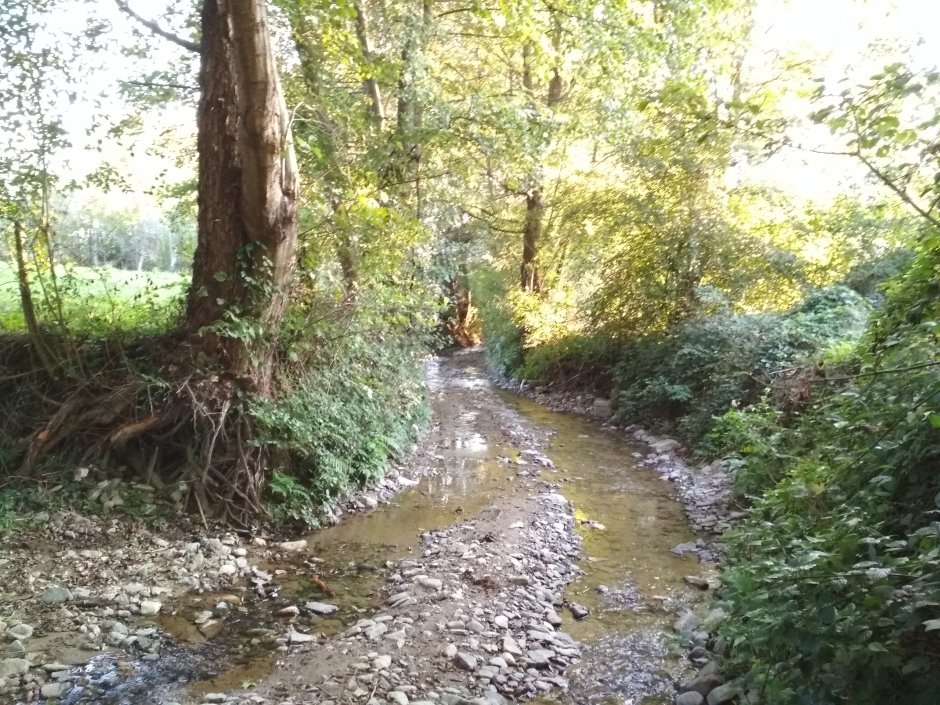  25mn img 13pr valea maloasa in apropiere de turnu ruieni 0