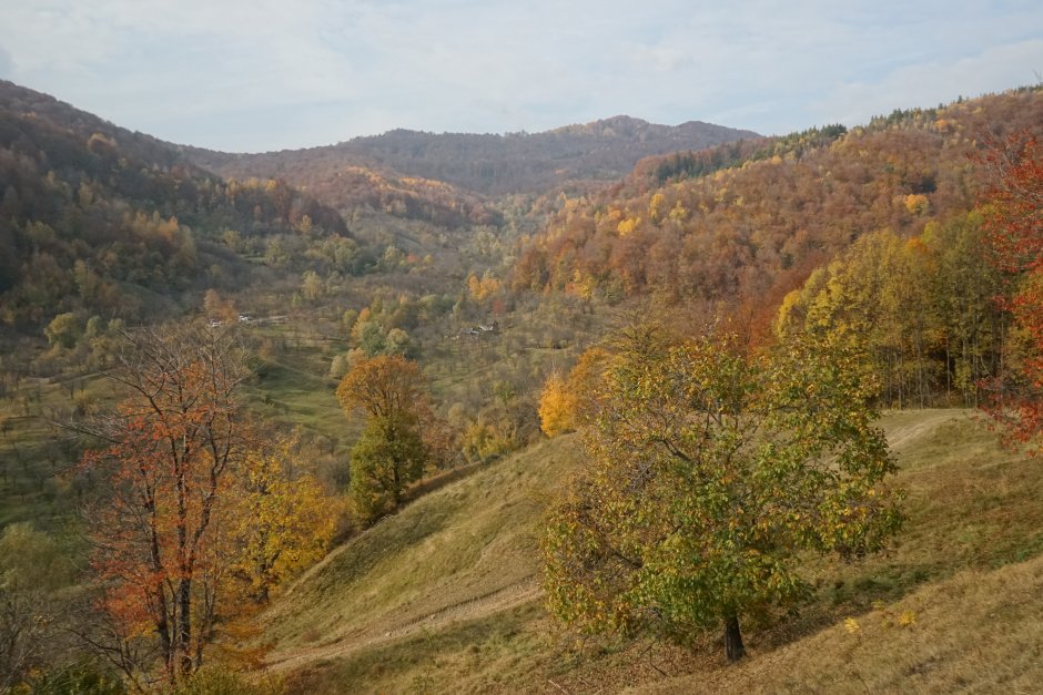  26mn img 37br varful zboiu vazut de pe traseul dintre alunis si poiana cozanca 0