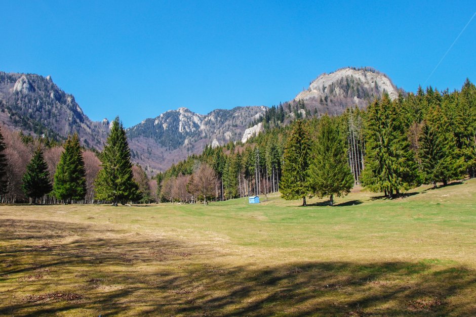  4mn img 10ta din poiana stanii spre valea paraului sterp 2