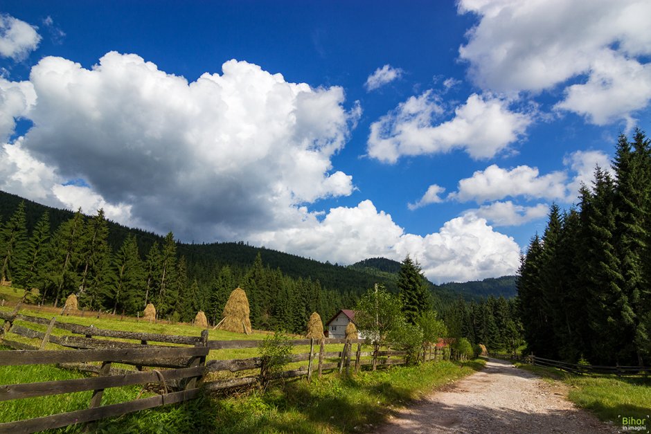 catunul-casa-de-piatra-01 1