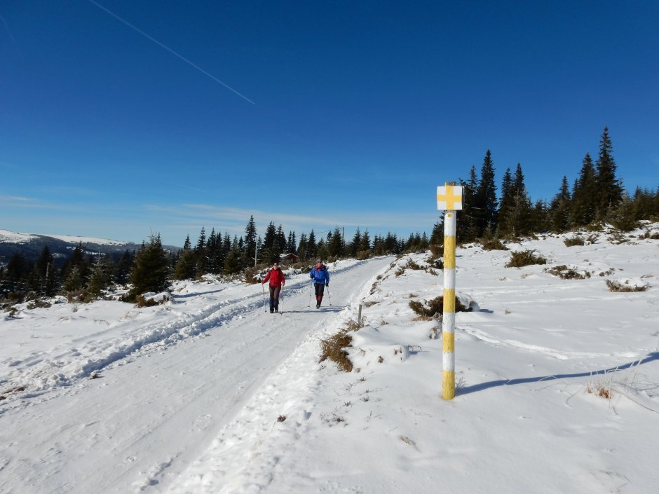 circuit de drumetie in jurul varfului buscat 05