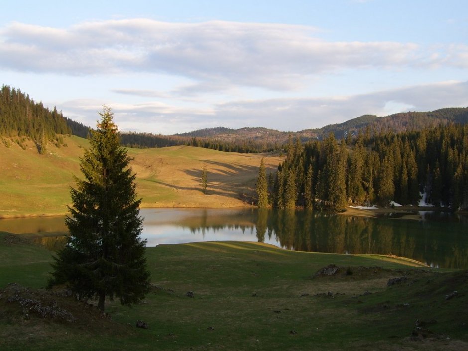 ponor glade-platoul-carstic-padis-vecinatate-wiki 0