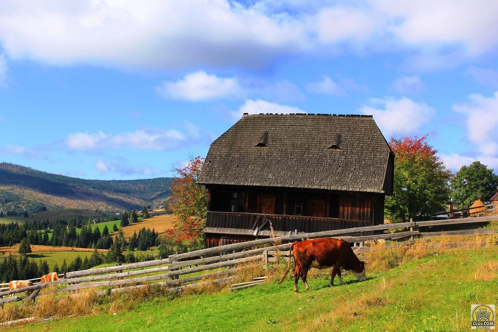  Muntele Rece - ClujCom