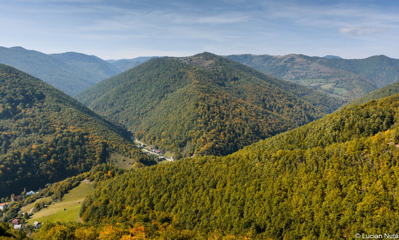  Valea ierii - Lucian Nuta - ClujCom