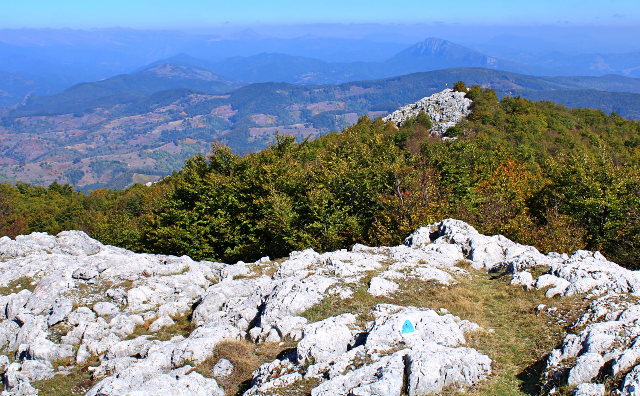  Vedere spre Culmea Mazdronea şi vf. Piatra Cloşani - Sima Constantin