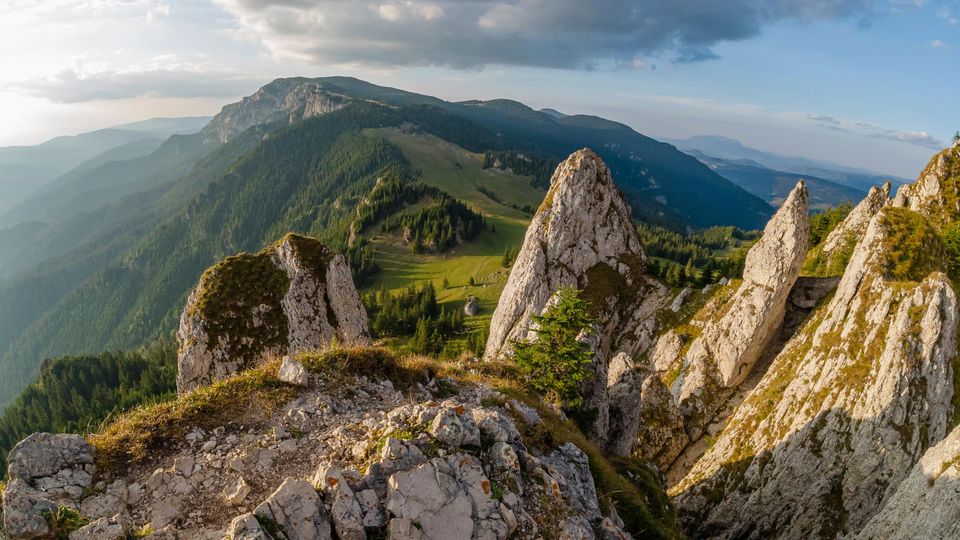  Vedere spre Hășmașul Mare - Andrei Pahomi