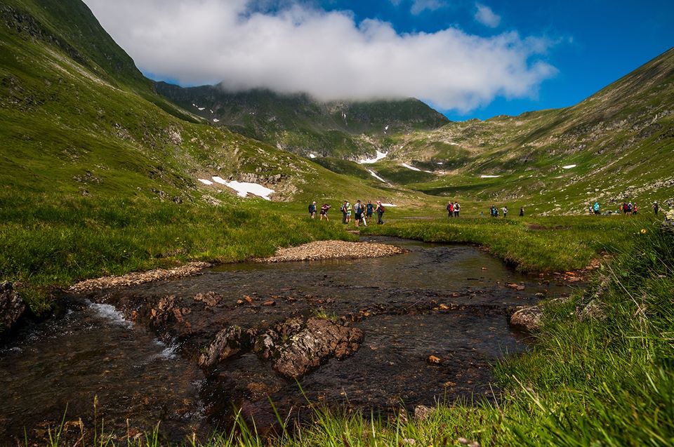 Zona mlastinoasa de sub Moldoveanu -  Morar Daniel 